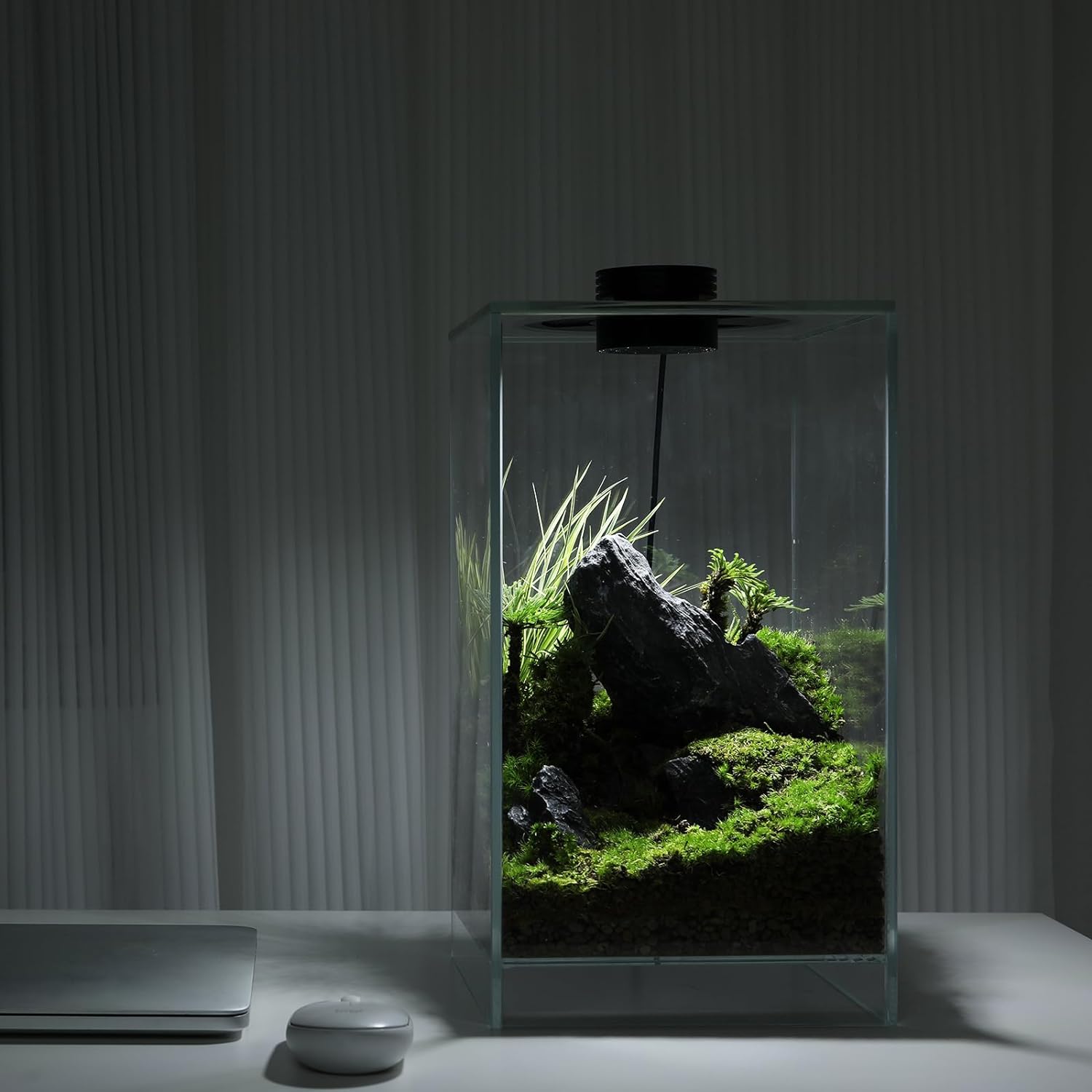 Desktop Glass Plant Terrarium with Grow Light, for Succulent, Moss, Miniature Gardening Landscape, Betta Fish Tank, Indoor Plant Growth. Massage Lab
